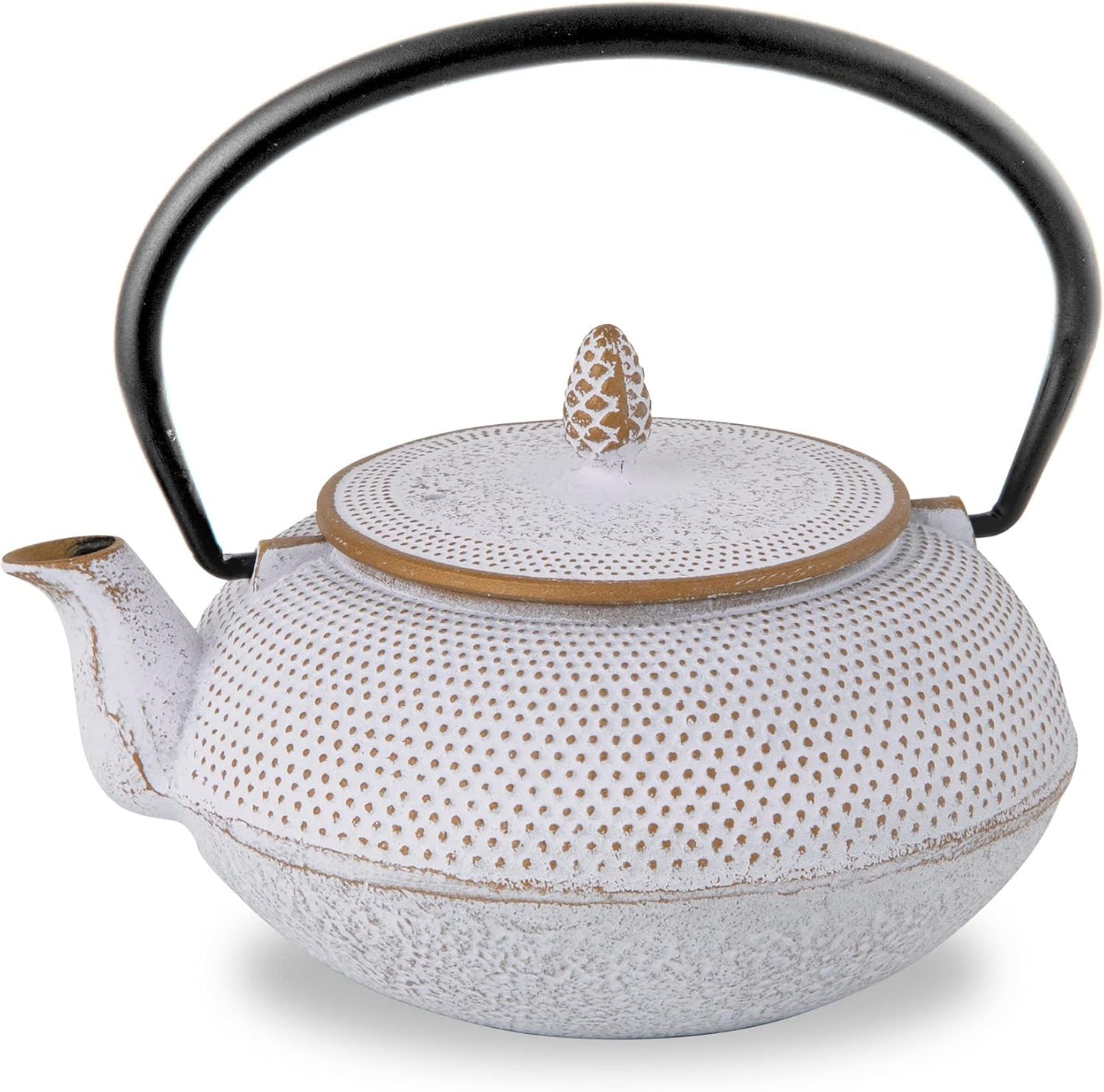Roji Associates Cast Iron Teapot, Nanbu Tekki Teapot, ARARE - Dome Type, Made in Japan, with Tea Strainer, Inner Enamel Finish, Blue (13.53 fl oz)