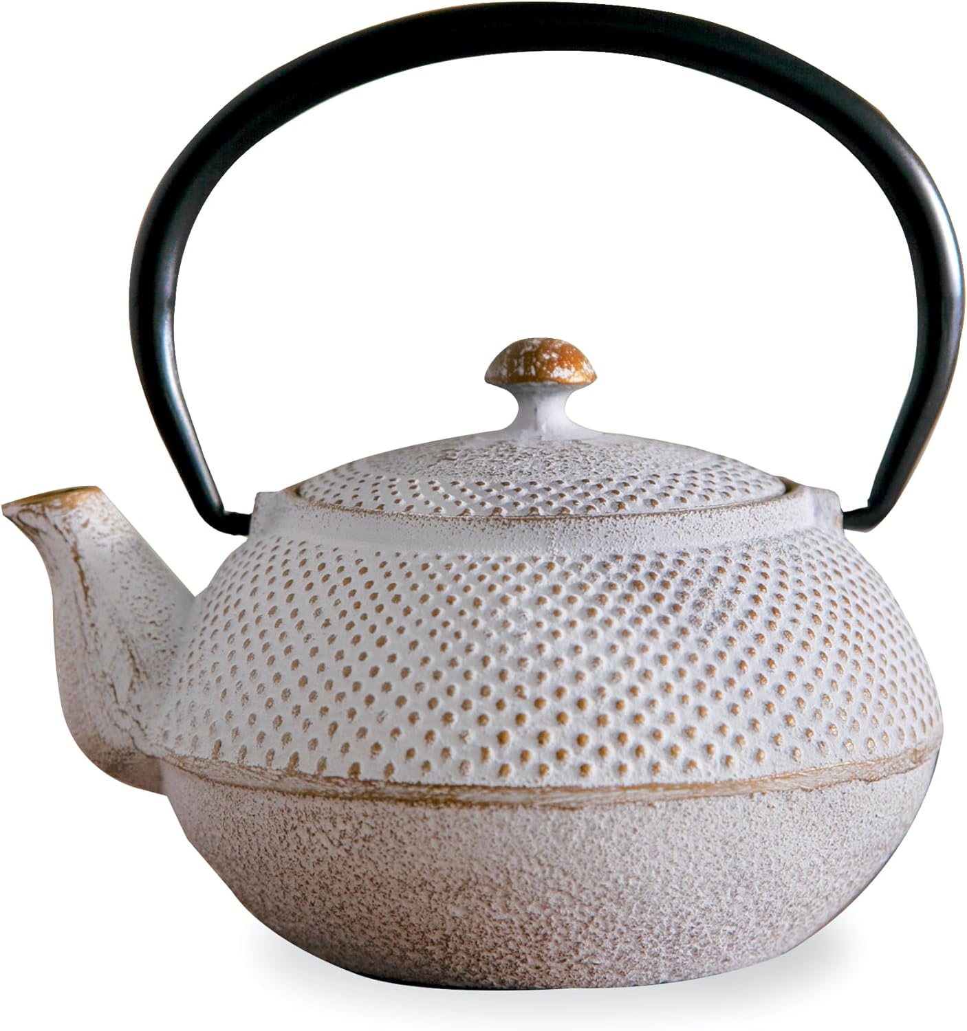 Roji Associates Cast Iron Teapot, Nanbu Tekki Teapot, ARARE - Dome Type, Made in Japan, with Tea Strainer, Inner Enamel Finish, Blue (13.53 fl oz)