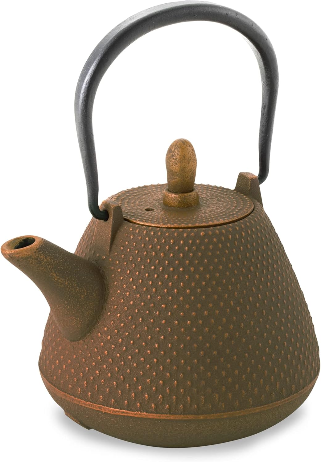 Roji Associates Cast Iron Teapot, Nanbu Tekki Teapot, ARARE - Dome Type, Made in Japan, with Tea Strainer, Inner Enamel Finish, Blue (13.53 fl oz)