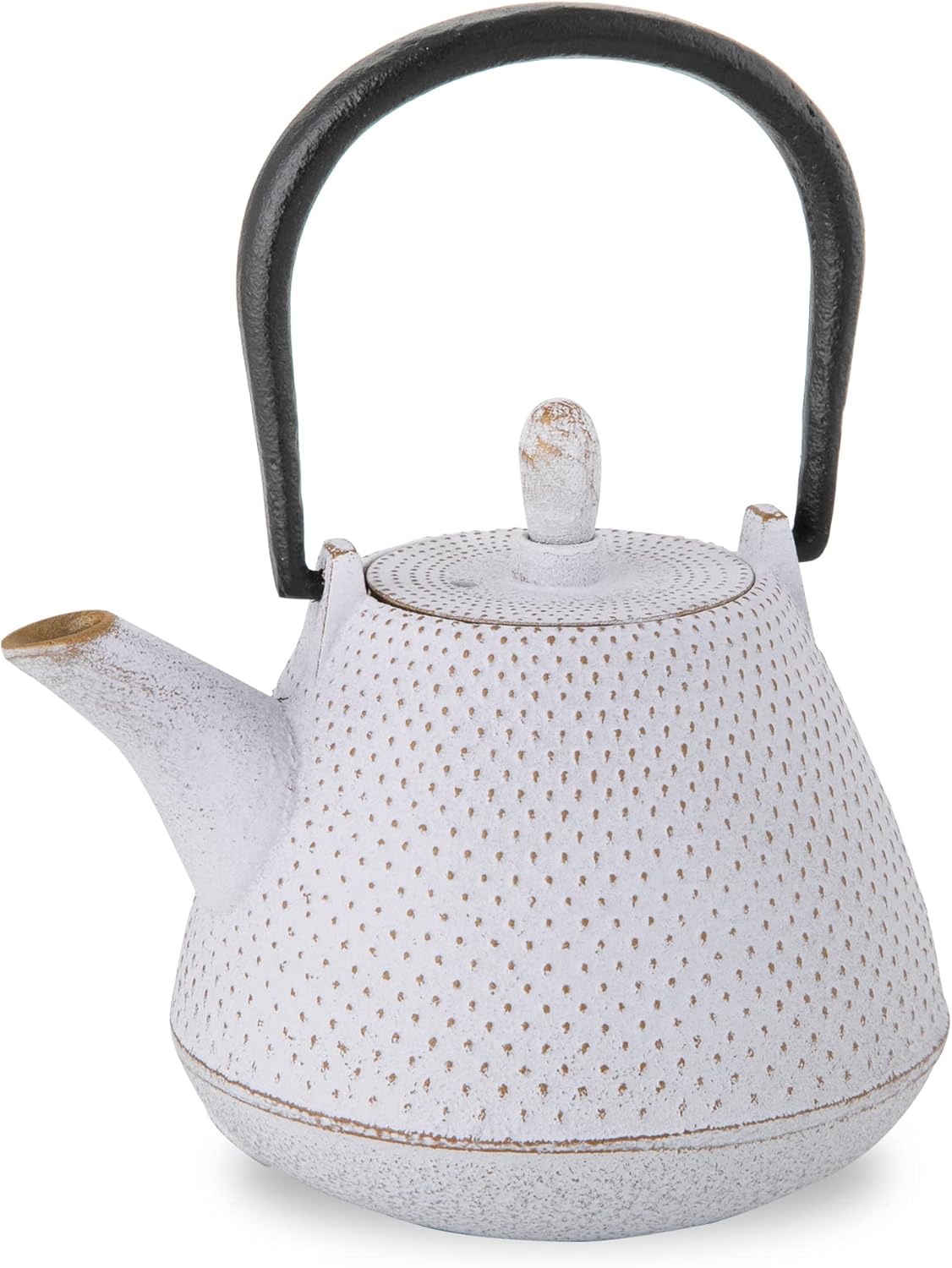 Roji Associates Cast Iron Teapot, Nanbu Tekki Teapot, ARARE - Dome Type, Made in Japan, with Tea Strainer, Inner Enamel Finish, Blue (13.53 fl oz)