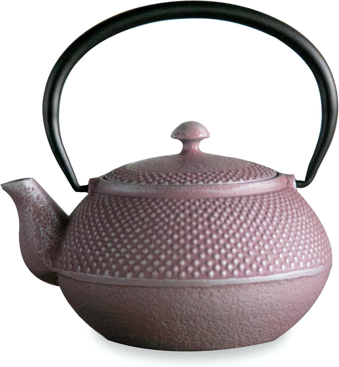 Roji Associates Cast Iron Teapot, Nanbu Tekki Teapot, ARARE - Dome Type, Made in Japan, with Tea Strainer, Inner Enamel Finish, Blue (13.53 fl oz)